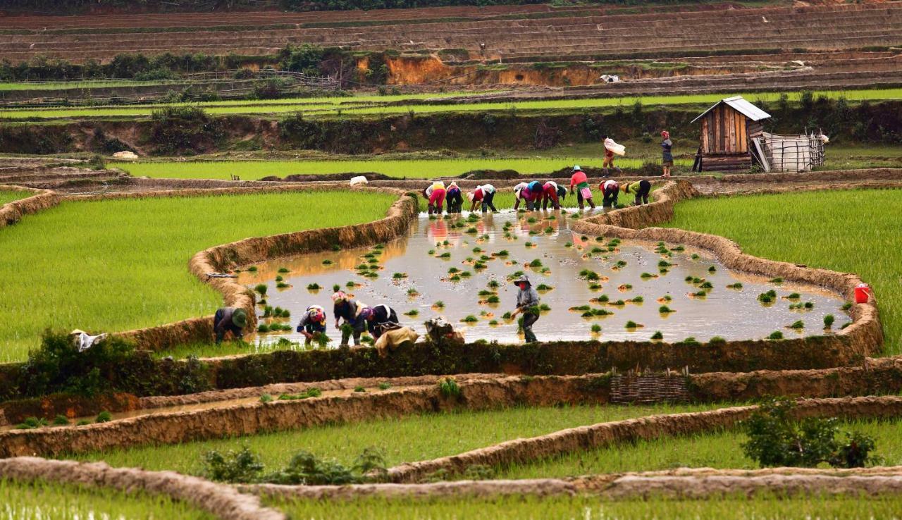Mu Cang Chai Eco Lodge Nam San Zewnętrze zdjęcie