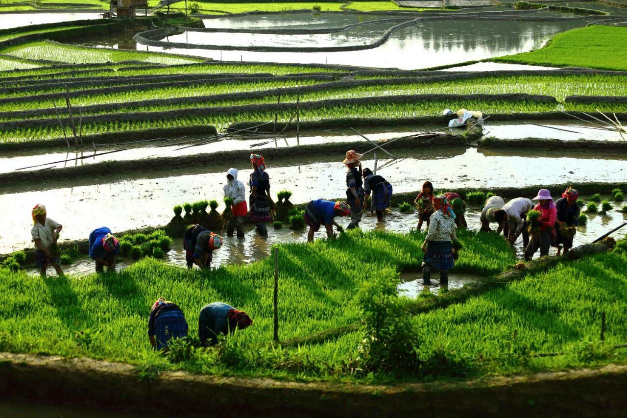 Mu Cang Chai Eco Lodge Nam San Zewnętrze zdjęcie