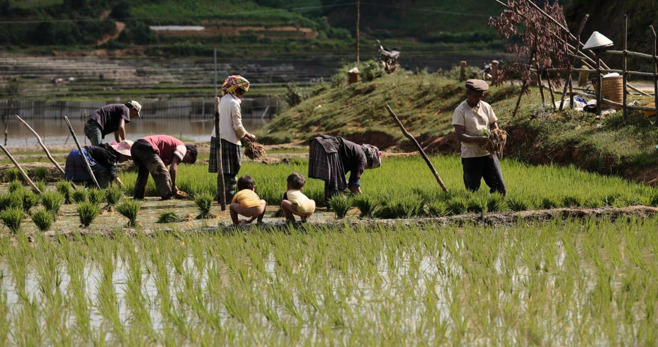 Mu Cang Chai Eco Lodge Nam San Zewnętrze zdjęcie