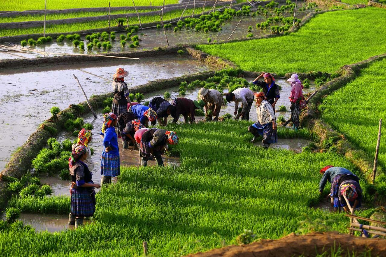 Mu Cang Chai Eco Lodge Nam San Zewnętrze zdjęcie
